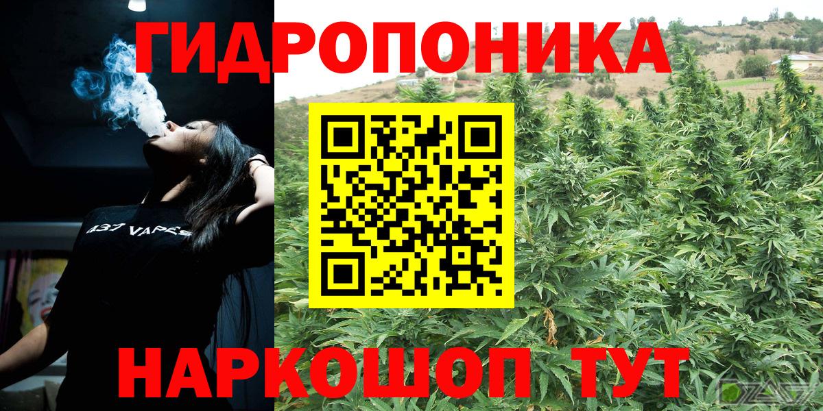 Бошки Шишки конопля  Шишки марихуана VHQ  Красноуфимск  Вход с VPN 